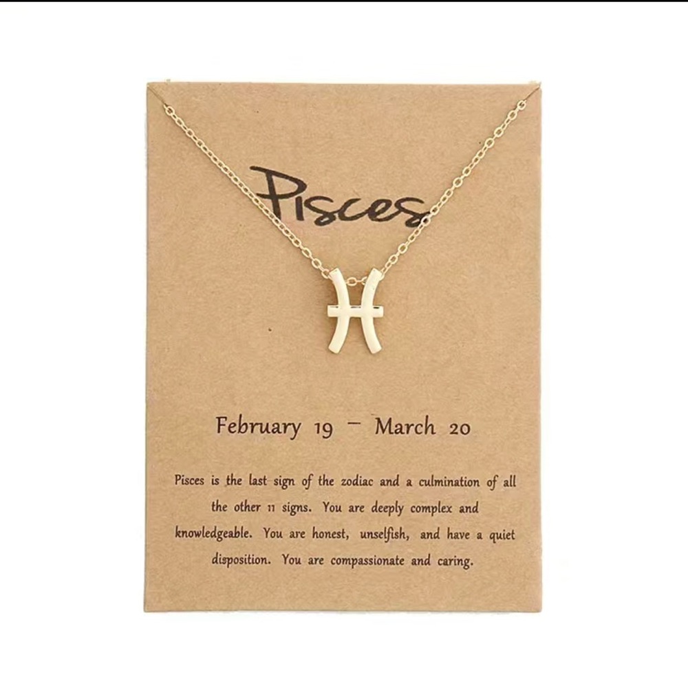 1pc Stainless Steel Pendant necklace Pisces ♓️ new with tags ♓️